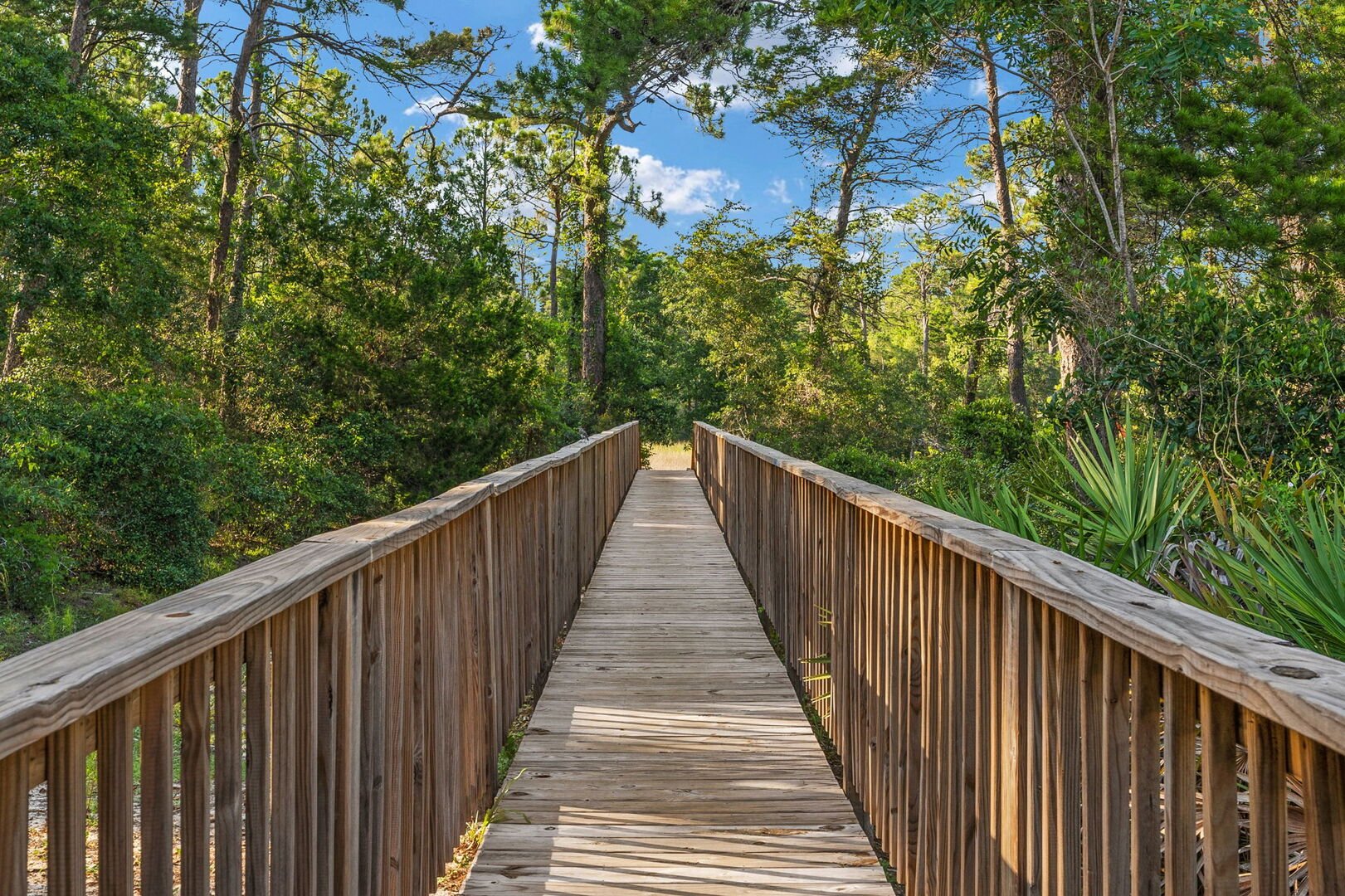 Enjoy nature walks on the pier.